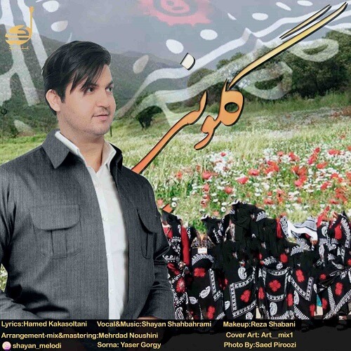 شایان شاه بهرامی گلونی